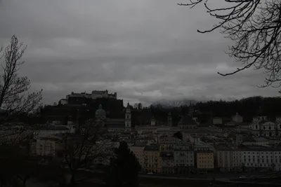 DSC_7033 (Large).JPG